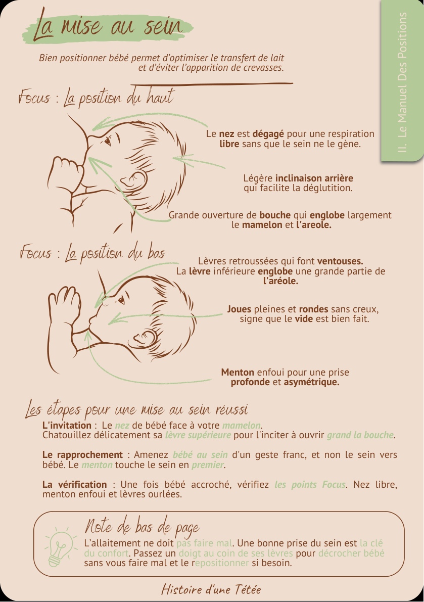 La Mise au Sein